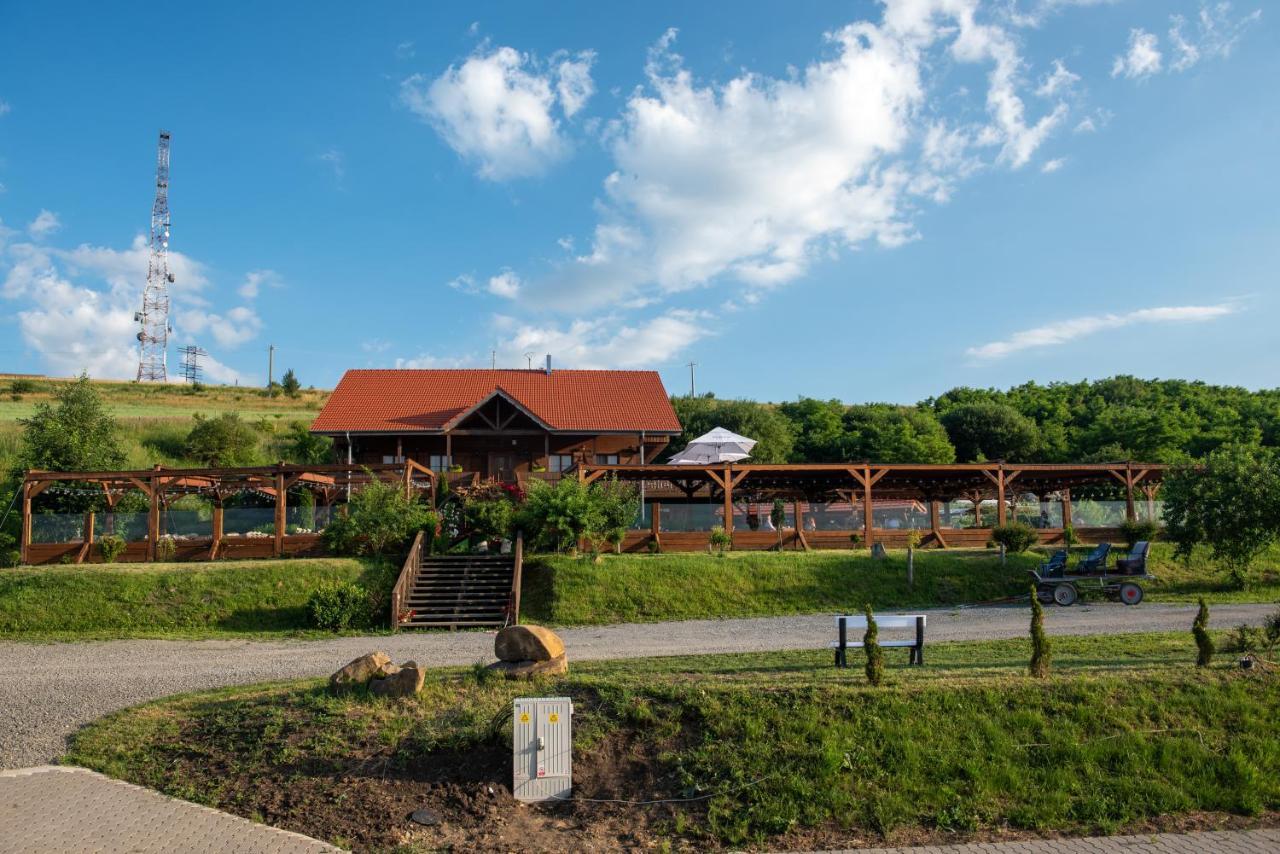 Trovantland Cluj-Napoca Eksteriør billede