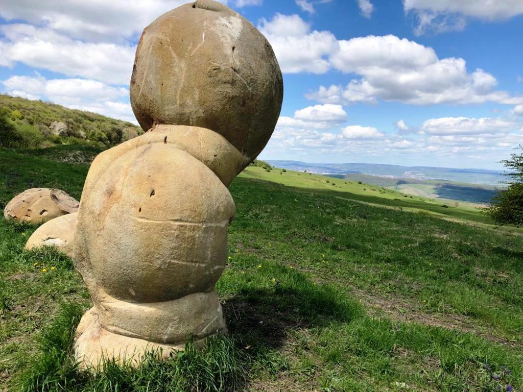 Trovantland Cluj-Napoca Eksteriør billede